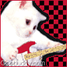 catsndogs